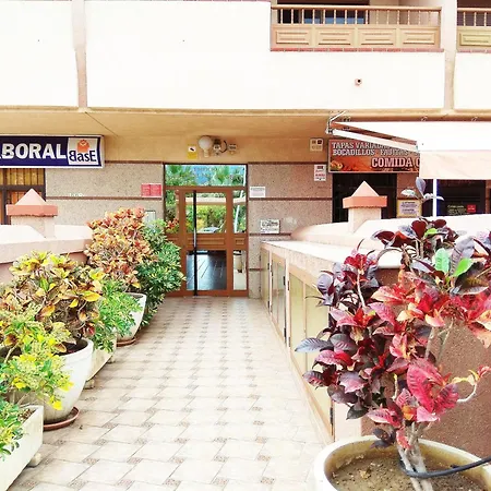 Cristianos Centro, With A Private Bathroom In Shared Privatunterkunft